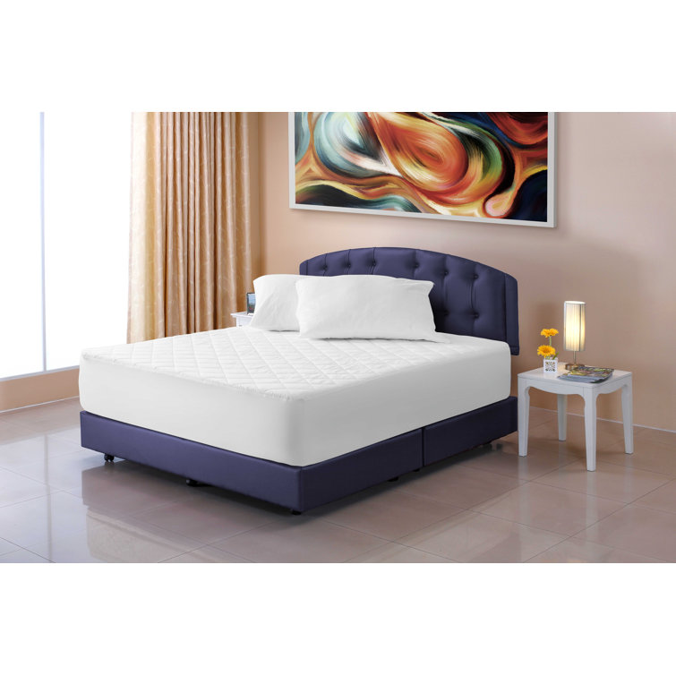 Joluzzy Cotton Mattress Pad & Reviews Wayfair Canada